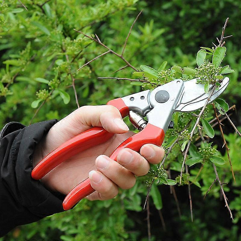 Left-handed sharp blade pruner 25 mm x 210 mm x 65 mm