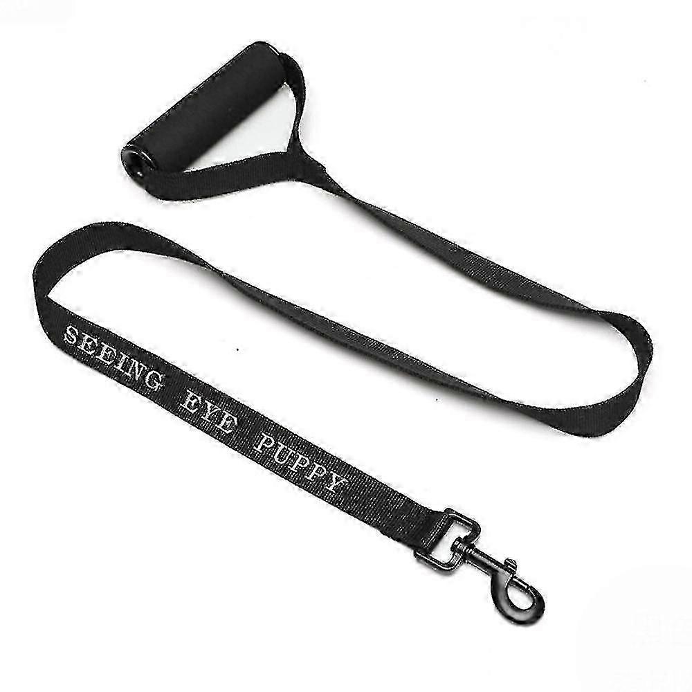 Elastic Leash With Handle For Training Walks