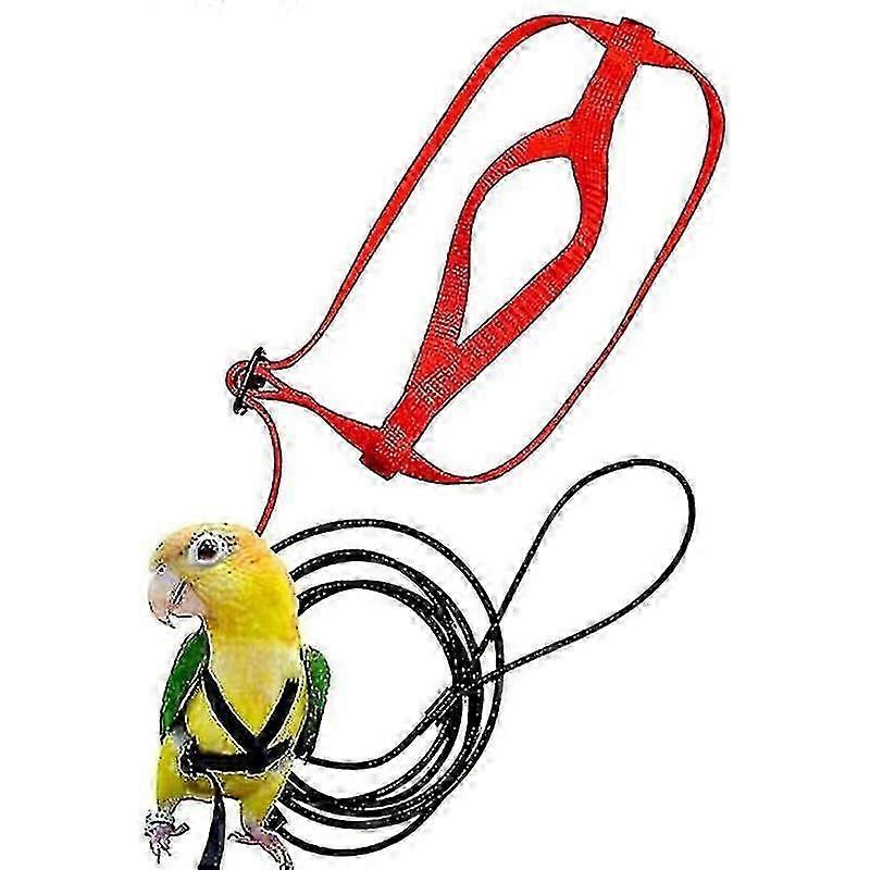 Parrot Bird Harness Leash Outdoor Flying Traction Straps Band Adjustable Anti-bite Training Rope A