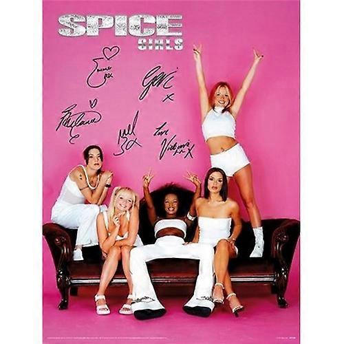 Spice Girls Paper Signature Poster