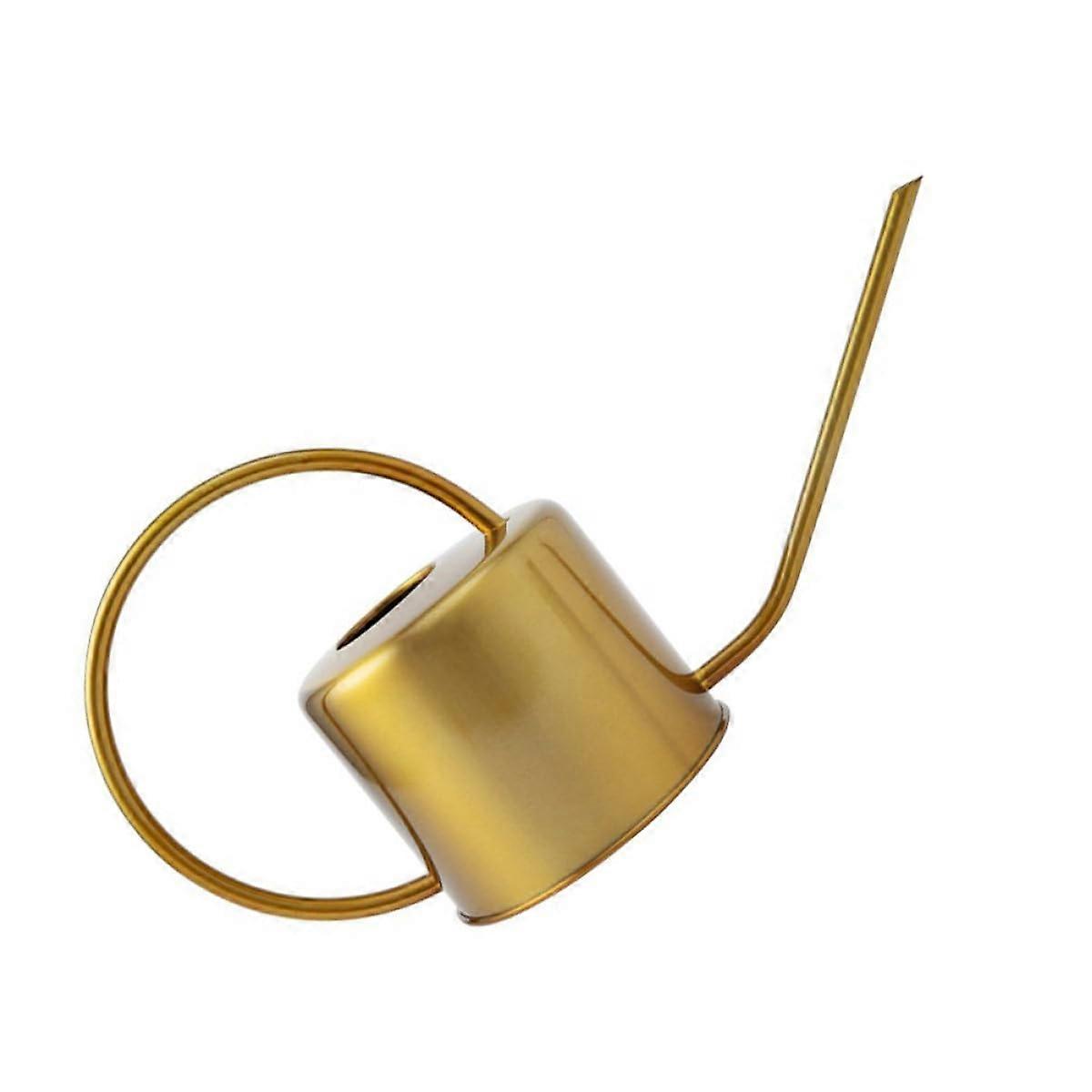 Metal Watering Can with Precise Long Spout for Indoor and Outdoor Plants, Comfortable Grip