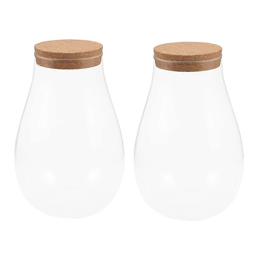 Planter Terrariums Micro Landscape Bottle Garden Storage 2Pcs