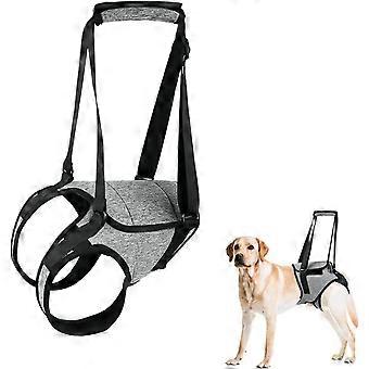 Dog Support Harness for Back Legs Large Dog Harness with Lift Handle Adjustable Puppy Harness for Pain Relief Rehabilitation Surgeries - M