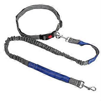 Retractable Dog Leash with Adjustable Waist Rope Hand Free Running Jogging Cycling Big Dogs Pet Elasticity Lead B