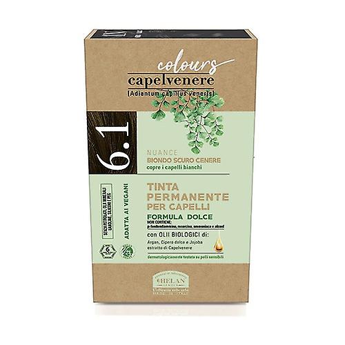 Capelvenere Colors - 6.1 Dark Ash Blonde 1 unit