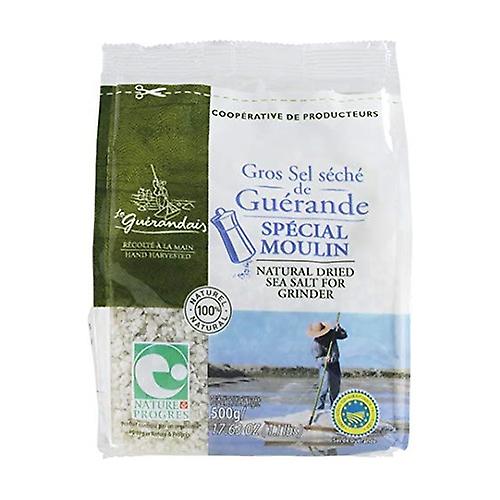 Coarse dried salt refill 500 g