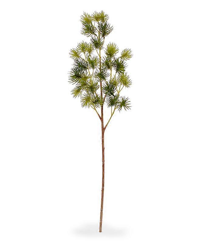 Furu gren (50 cm)