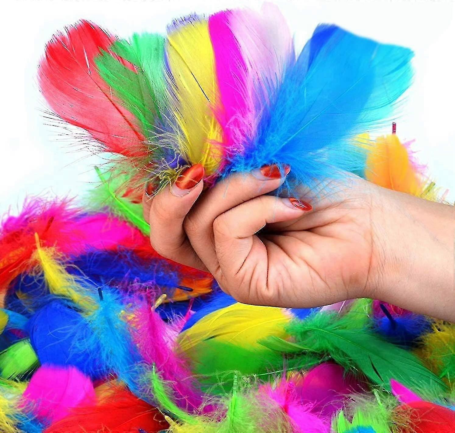 Craft Feathers, Coloured Feathers Natural Goose Feathers, Suitable For Diy Dreamcatcher Carnival Decoration/hats/vases/masks, Fluffy And Soft, (300pcs