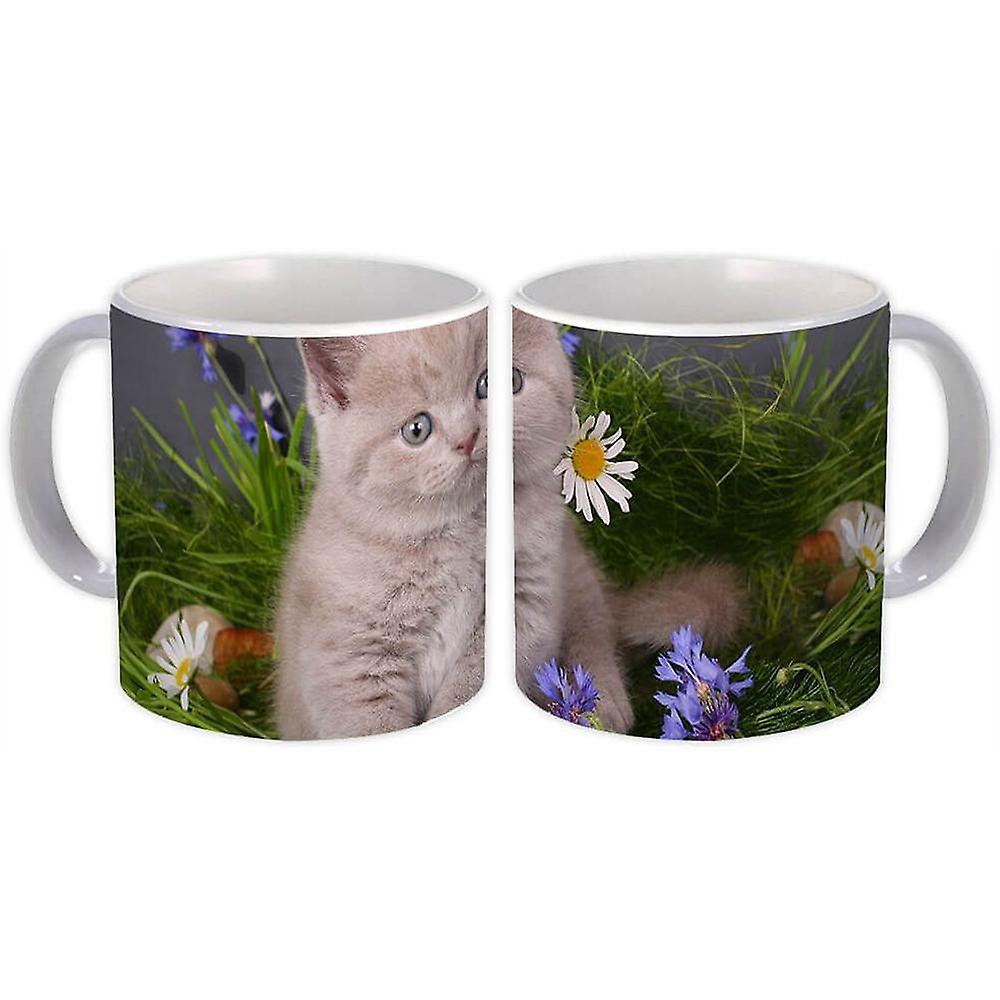 Gift Mug: Cat Kitten
