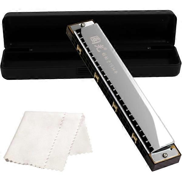 Silver - 24 Hole Tremolo Harmonica Polyphony Diatonic C Key Professional Harmonica Beginner