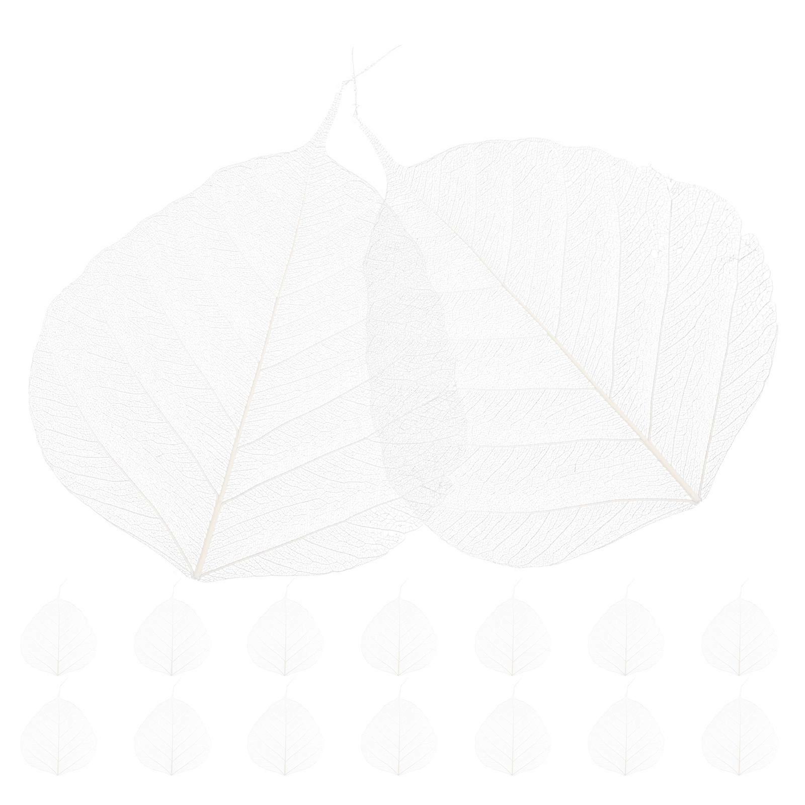 80Pcs Dried Flowers Specimen for Craft Decoration Use