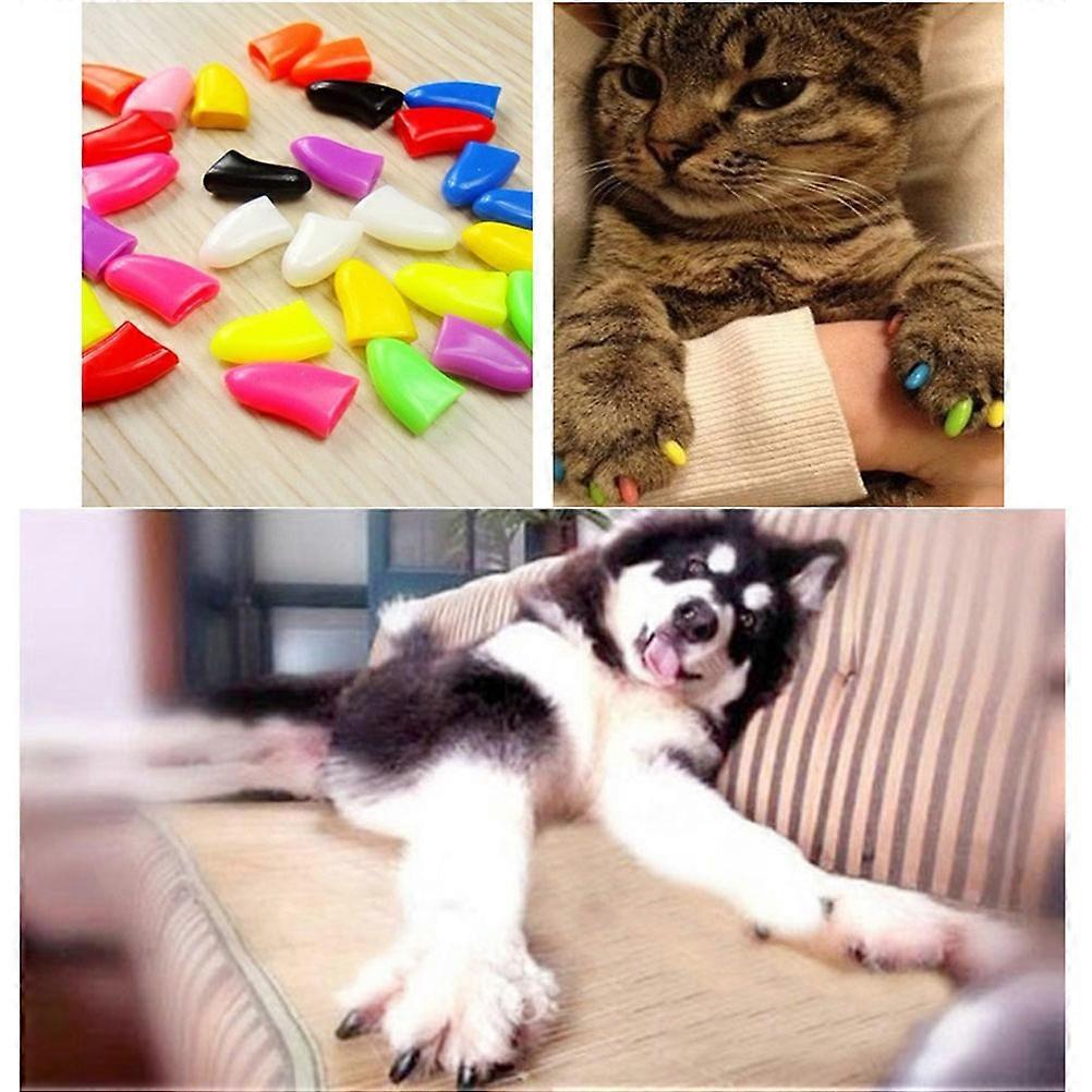 Cat Claw Caps Pet Paw Claw Control Protector 20Pcs Black Kit