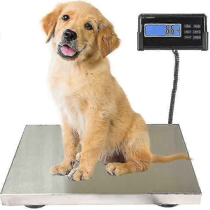 300kg Digital Electronic Scale Dog Weighing Electronic Pet Platform Scale With Sensor Scale