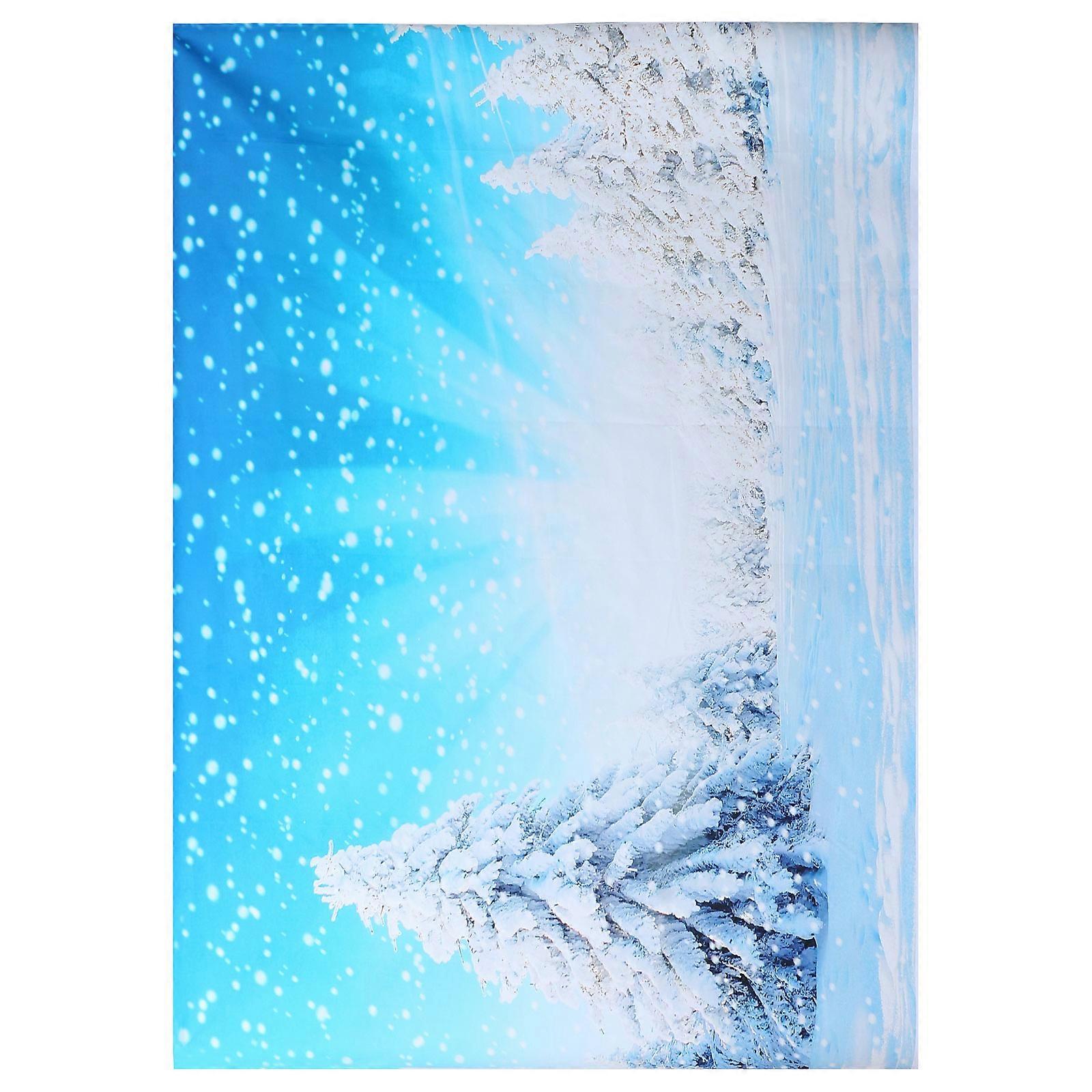 Winter Snowflake Christmas Backdrop Party Background Decor 2Pcs for Decoration