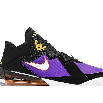 Shoes Nike LeBron 18 Low ACG Terra CV7562003