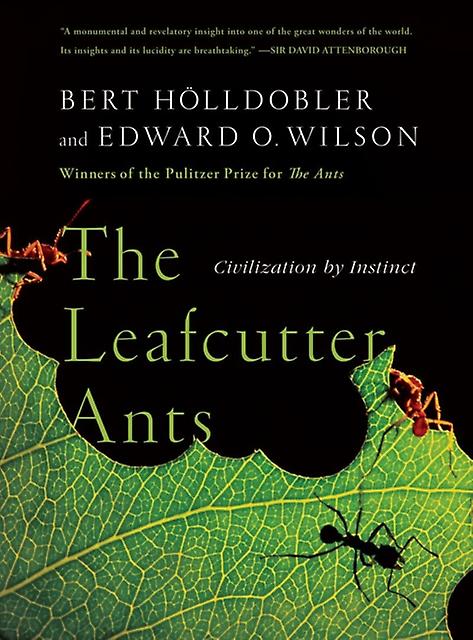 Leafcutter Ants - Edward O