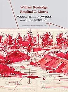 Accounts And Drawings From Underground by Rosalind C Morris Paperback Book