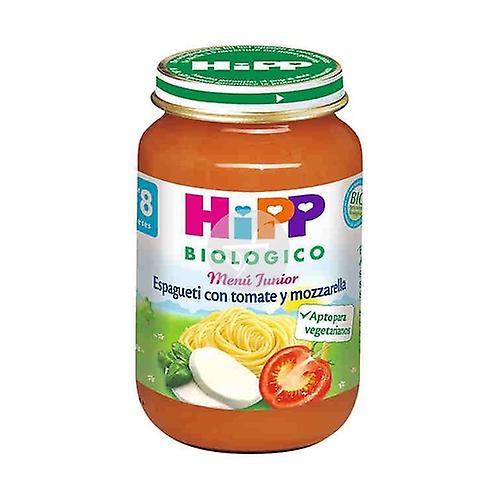 Jars of Spaghetti with Tomato and Organic Mozzarella (8 months) 190 g