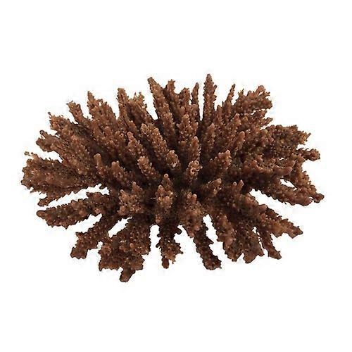 Weco Products South Pacific Coral Tabletop Ornament, Brown, 1 Each/Small