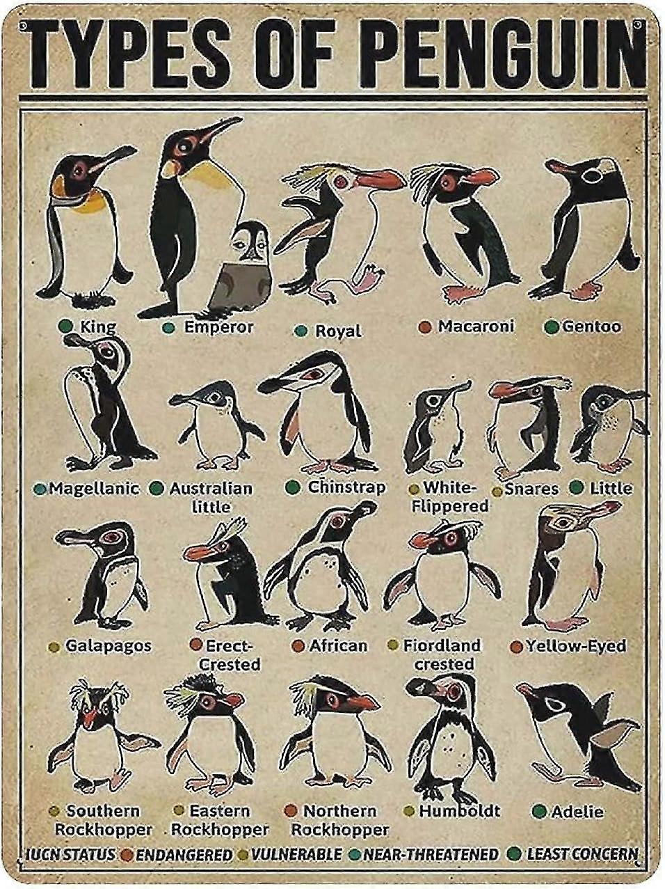 Placa de Metal Tipos de Especiarias Vintage Cartaz de Lata Placa de Metal 8x12 Polegadas OU 12x16 Polegadas Modo 297