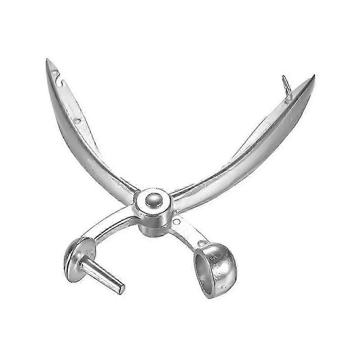 Silver Cherry Pitter with Ergonomic Handle, Fruit & Vegetable Core Tool