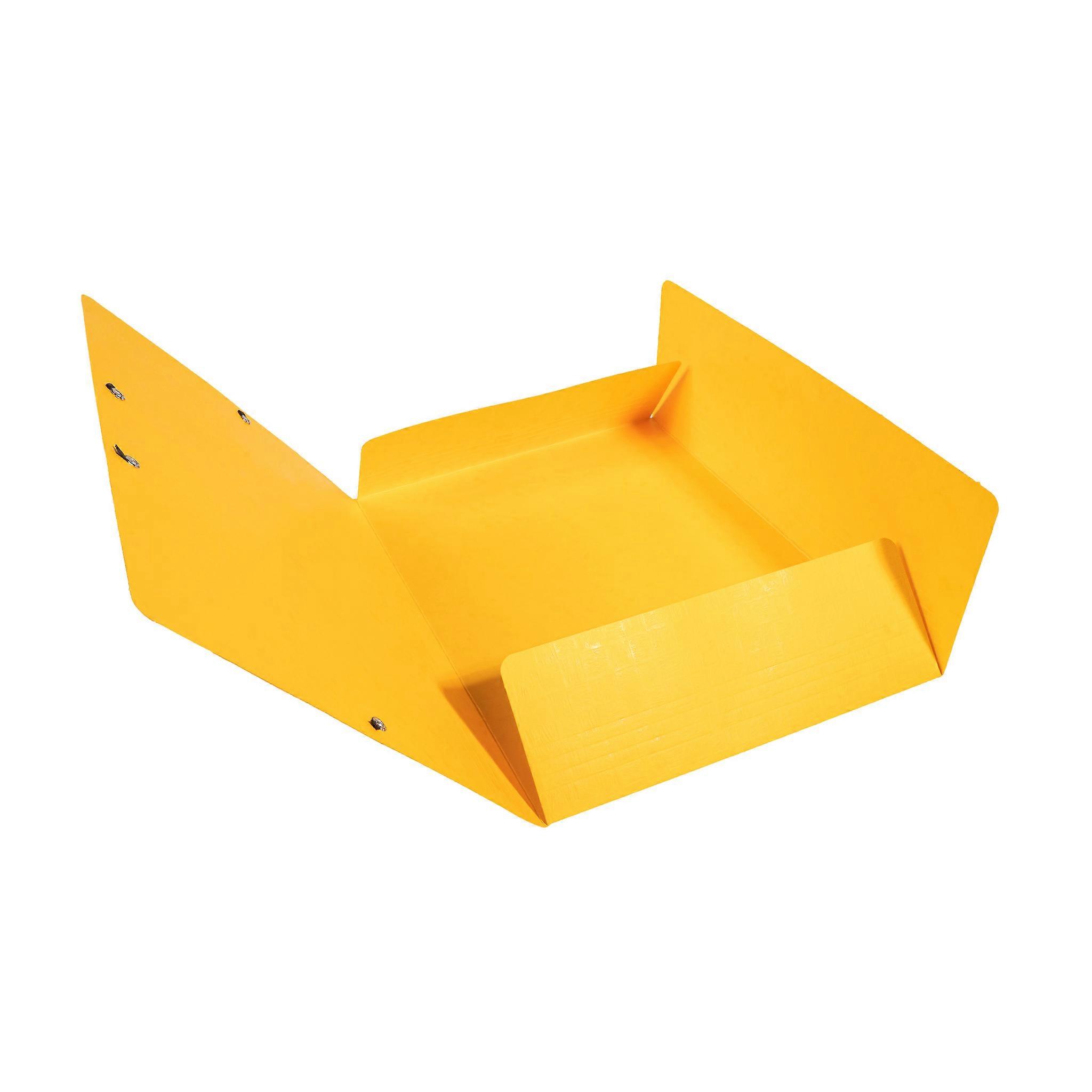 Exacompta 55759E 50x CARP. KING FOLDER SCOTTEN AM.