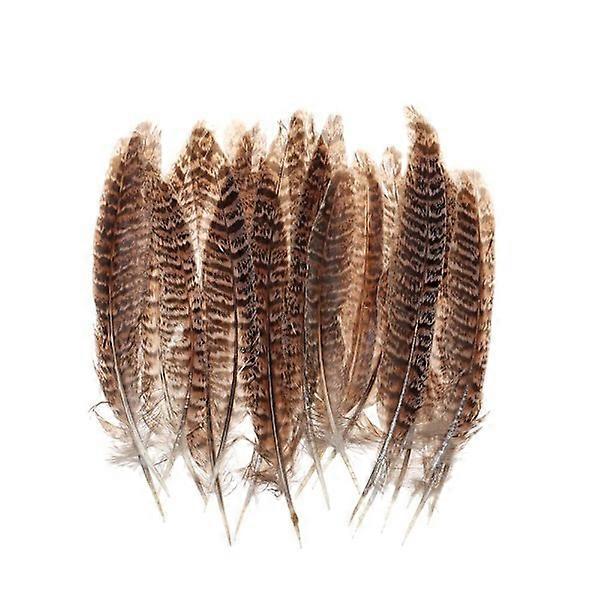 Feathers Tail feathers 10-15CM 10-15CM 10-15cm, craft feathers.
