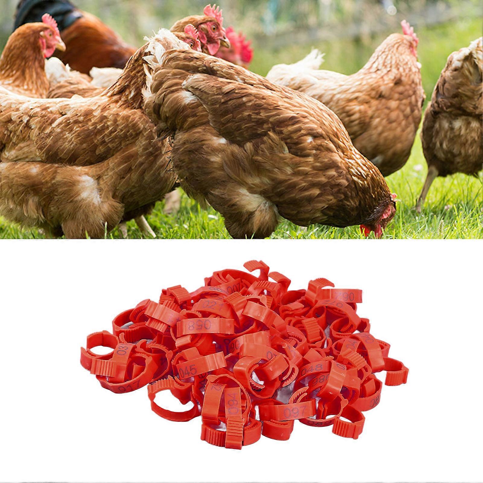100Pcs Red Plastic Chicken Leg Rings Numbered Poultry Bands