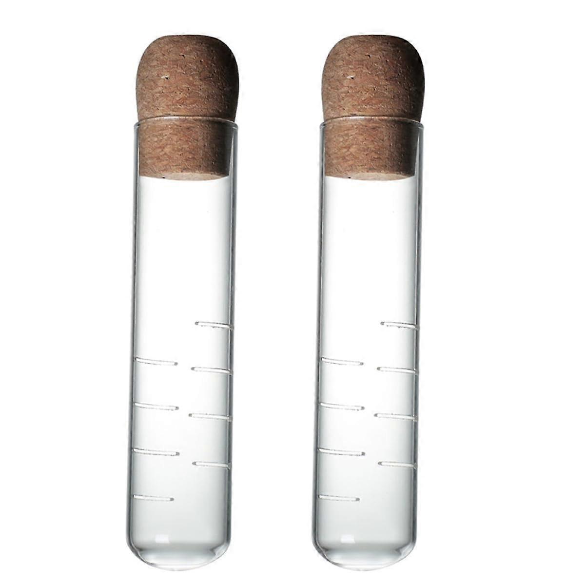 2pcs Loose Leaf Tea Infuser Tubes with Fine Mesh Filter and Secure Cork Cap for Travel Brewing