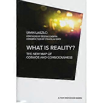 Wat is realiteit?: De nieuwe kaart van kosmos, bewustzijn en bestaan