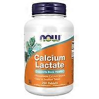 calcium lactate 250 tablets