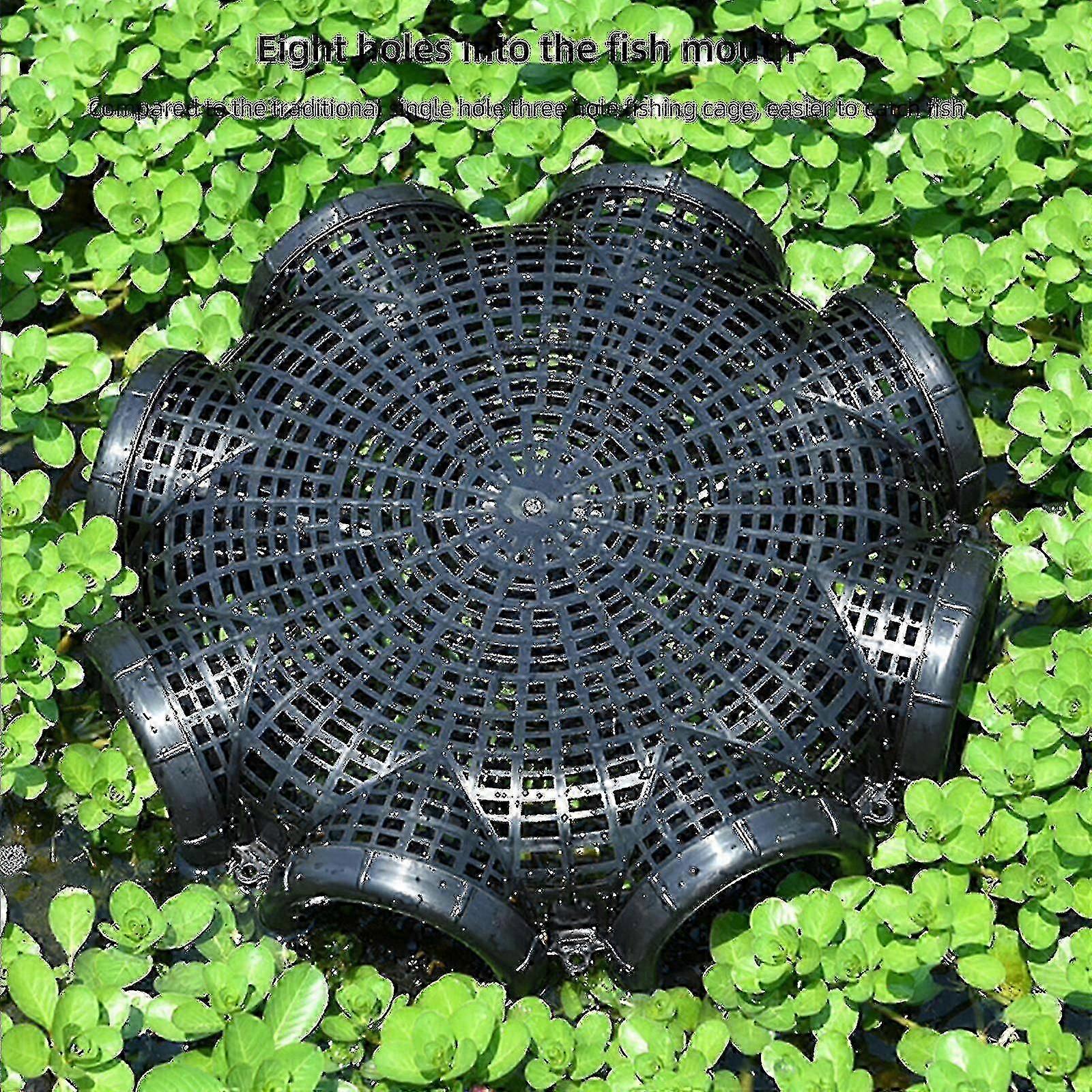 Weed-Optimised Eel Basket For Lobster And Crayfish