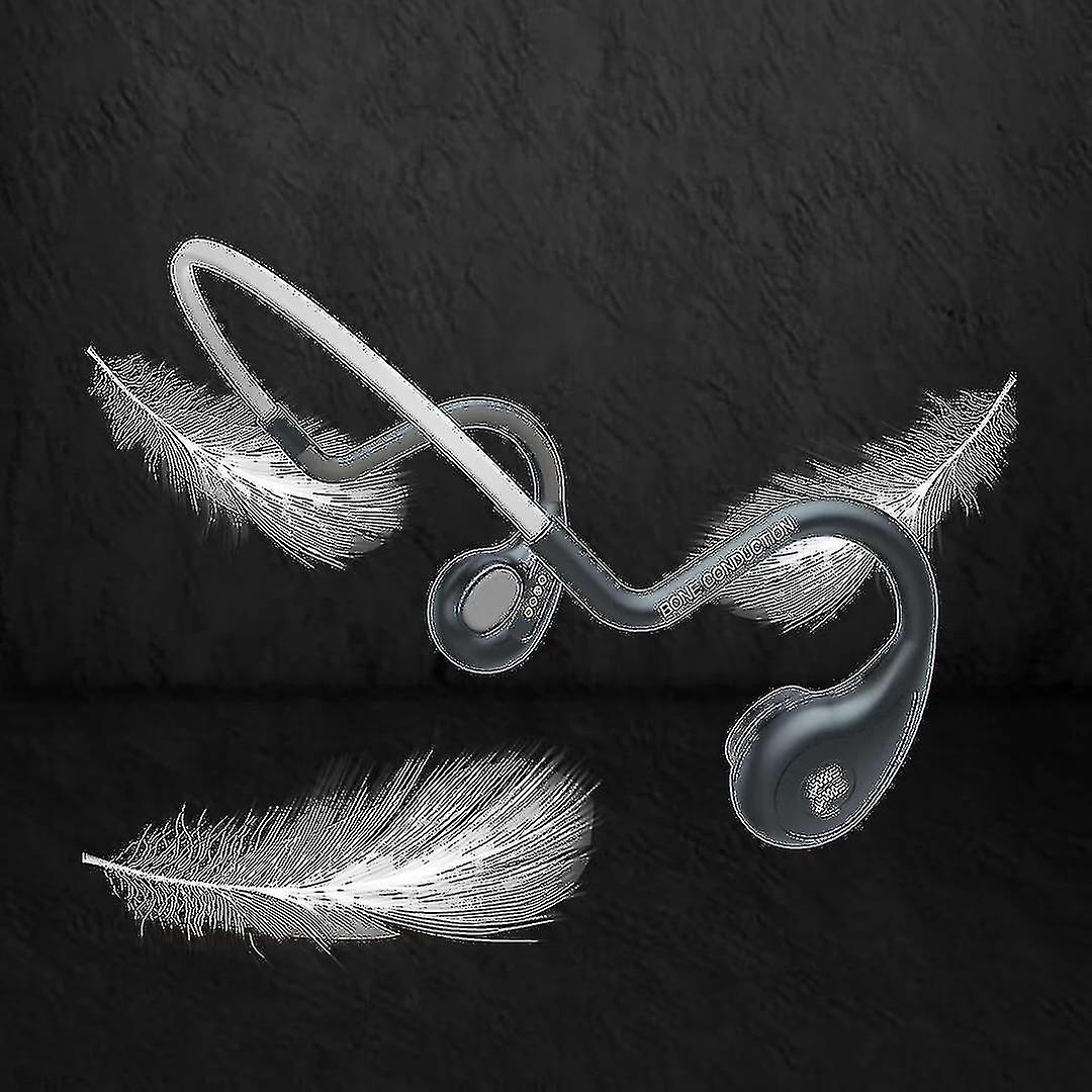 Phs Tooth Wireless Sports Earph Conduct B