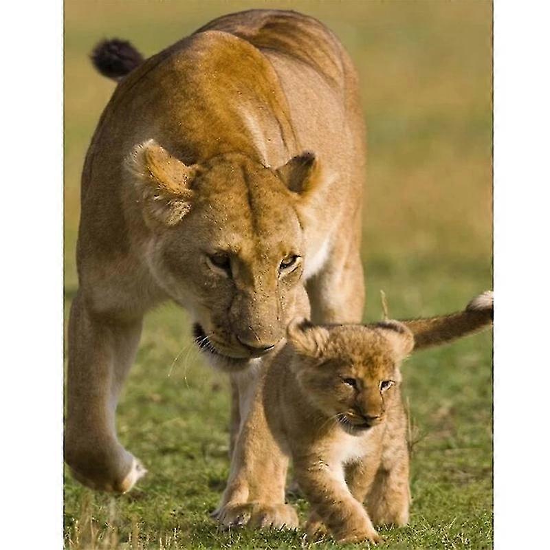 Diamond Embroidery 3d Diamond Painting Leopard Cross Stitch Craft Panther Animals Diamond Mosaic Full Drill Wall Sticker