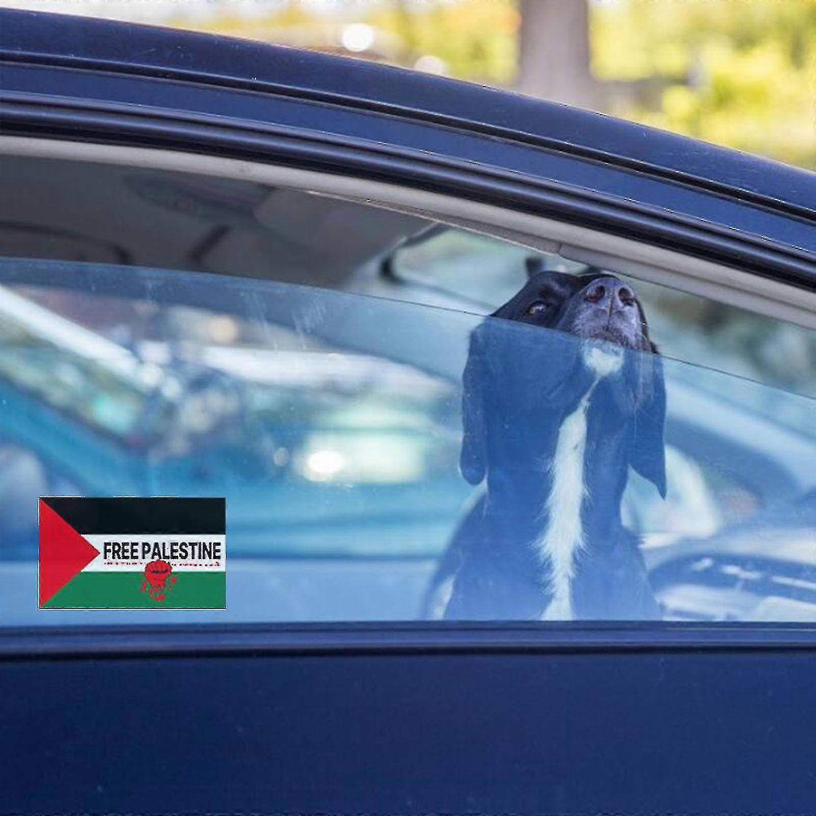 Cairo, Egitto, 14 Novembre 2023: Parola Araba Della Palestina Sul Parabrezza Posteriore Dell Auto Chery Con I Colori Della Bandiera Palestinese E Del Pla Egiziano Image574372693 - Foto 2