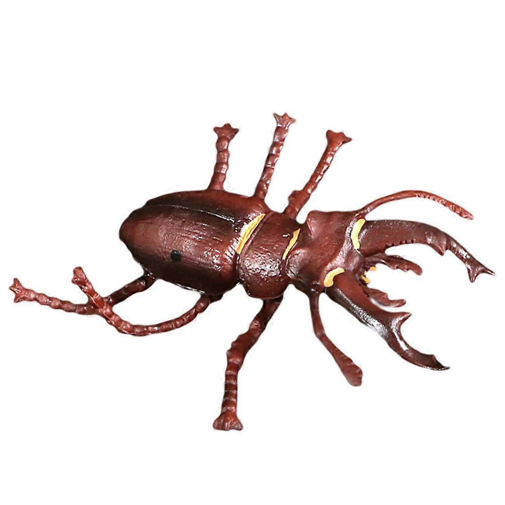 Bee Growth Cycle Decorations Realistic Vinyl Toys for Kids 1 Set