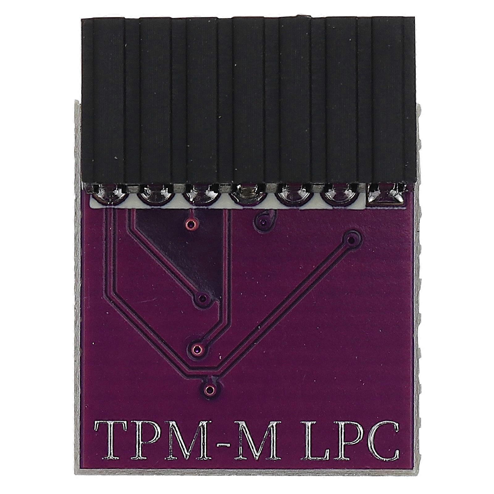 Tpm2.0 Module Dedicated Tpm Module for Computer Use 14Pin