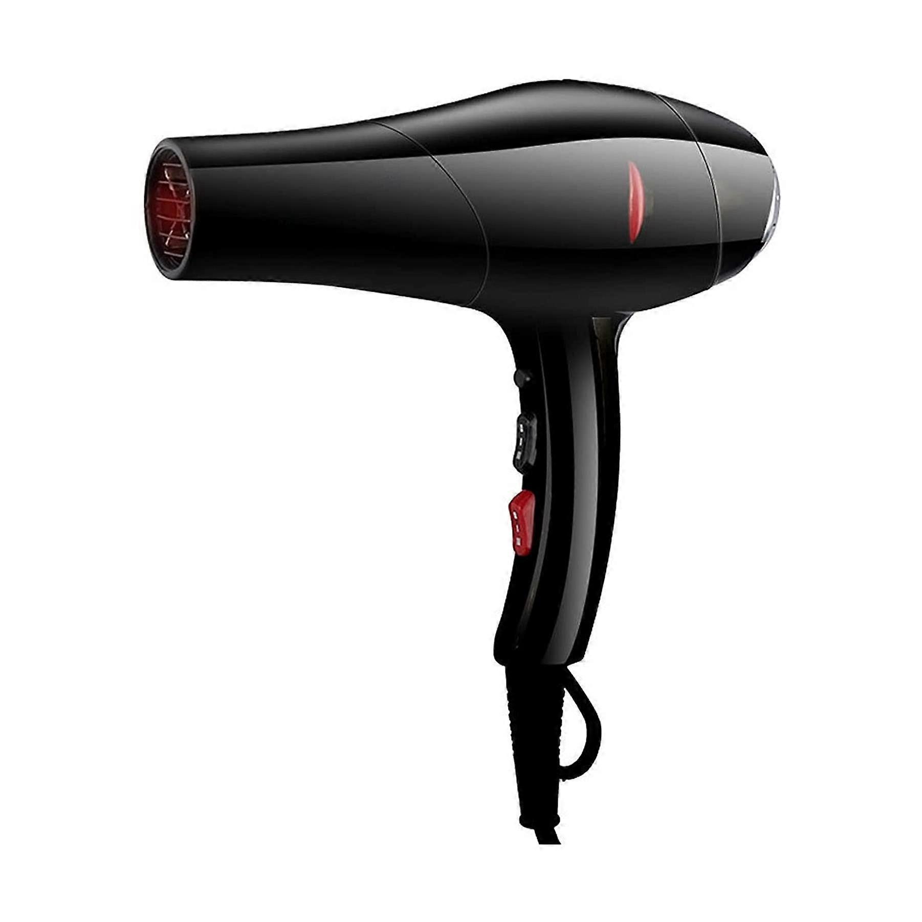 Professional Ionic Hair Dryer 2000W with Negative Ionic Technology, Lightweight Low Noise Design