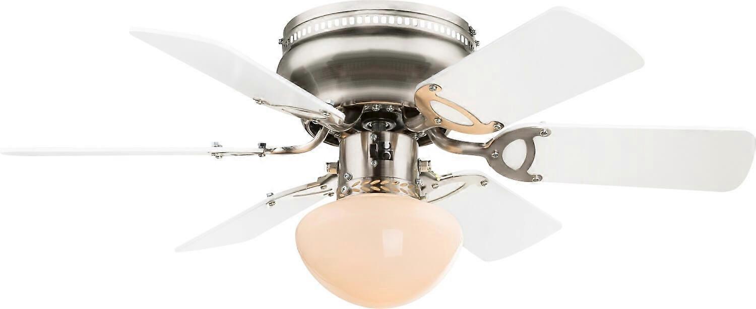 Ceiling fan Ugo White / Graphite with light