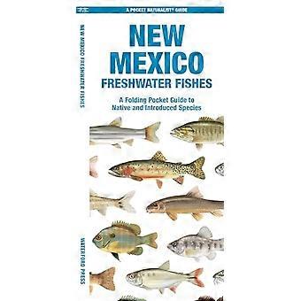 Zoetwatervissen van New Mexico: een opvouwbare zakgids voor inheemse en geïntroduceerde soorten
