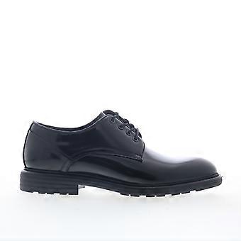 Chaussures Oxford et à lacets Steve Madden Valdez pour hommes adultes