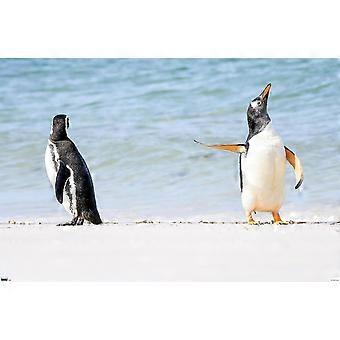 The Comedy Wildlife Photography Awards: Jennifer Hadley - Talk To The Fin Jigsaw Puzzle AD340