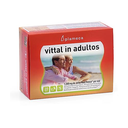 Vittal In Adults 20 vials of 10ml