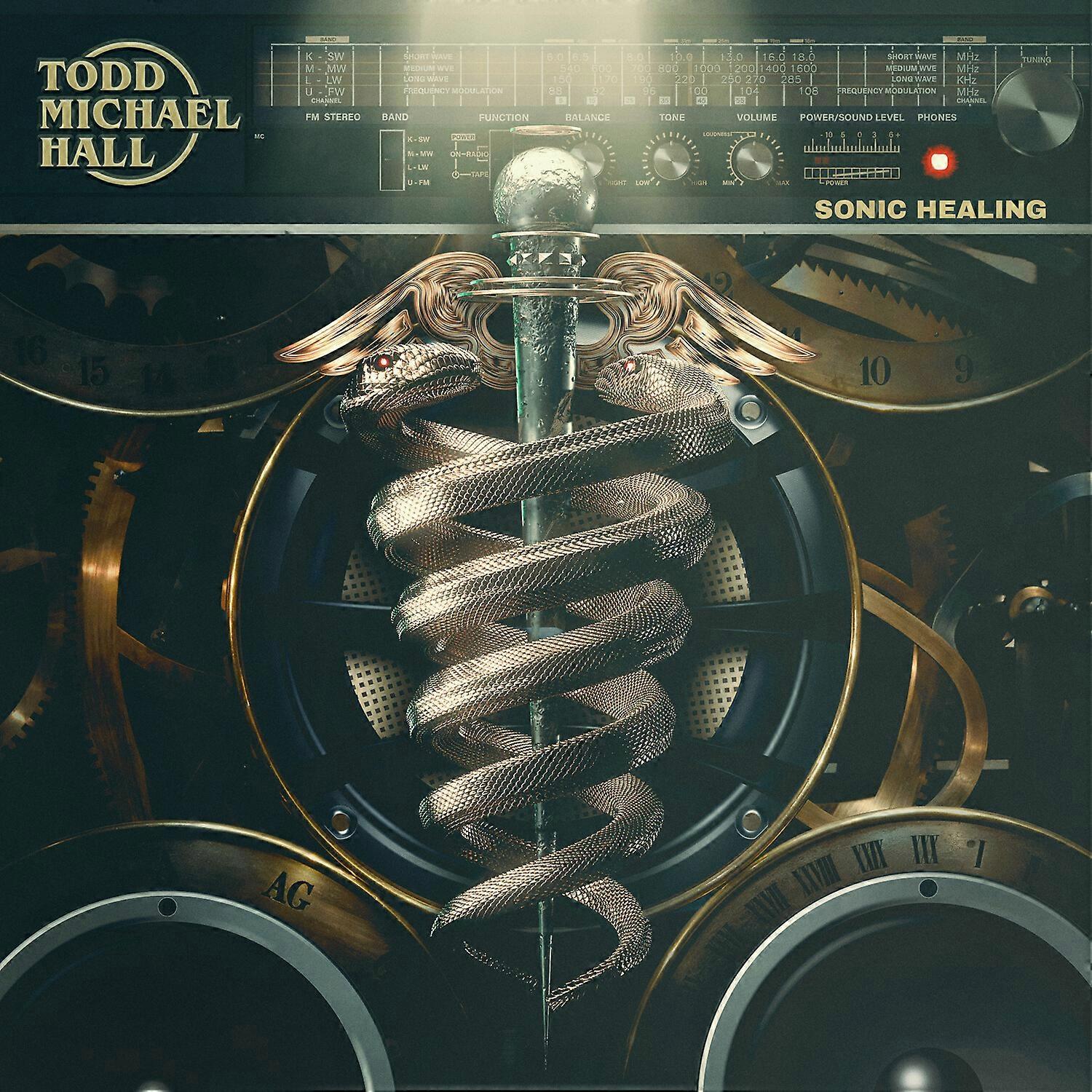 Todd Michael Hall - Sonic Healing  [COMPACT DISCS] USA import
