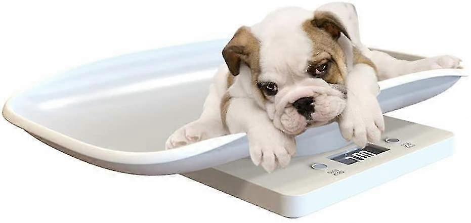 Multi-function Digital Pet Scale Large Lcd Display Electronic Scales Weight 10kg Capacity Pet