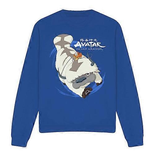 Avatar: The Last Airbender Unisex Adult In Flight Appa Sweatshirt