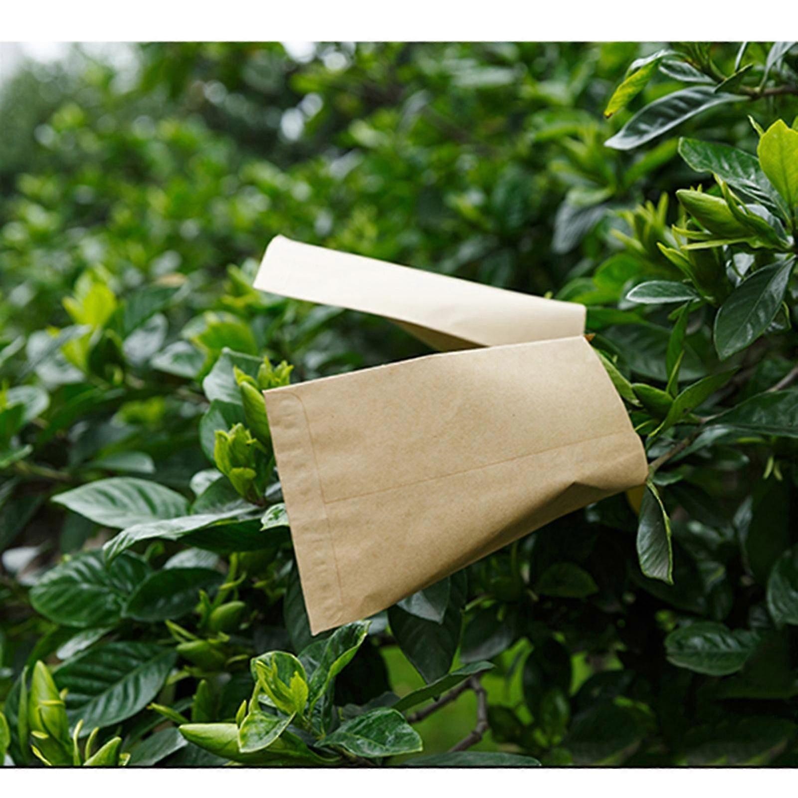 SETT med 100 frøpakker Blanke frøkonvolutter Tomme frøpapirposer Bulk, 100% Ny