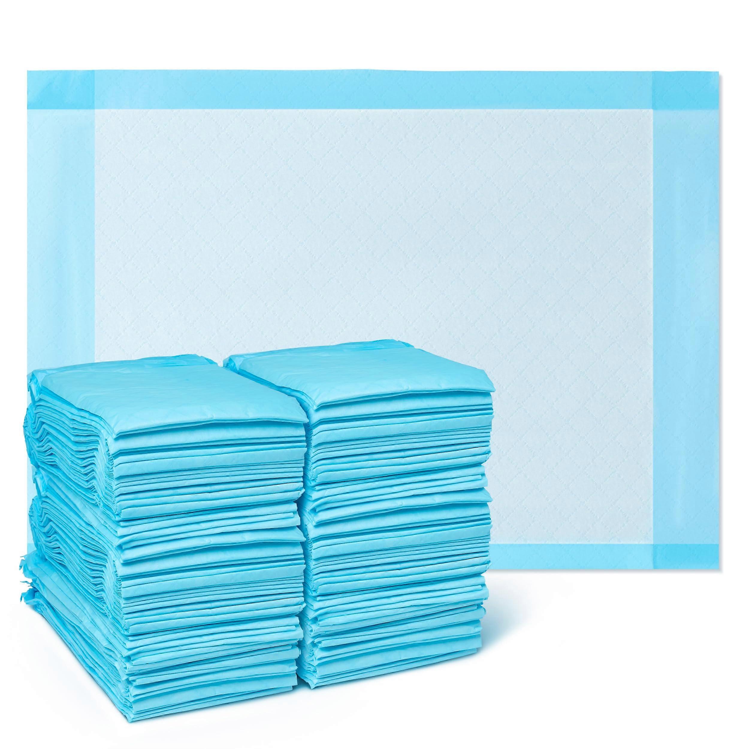 Light Absorbency Underpad, 17' x 24', 100 Disposable Count, Chucks, Bed & Furniture Protection
