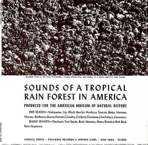 Various Artists - Tropical Rain Forest / Various  [COMPACT DISCS] USA import