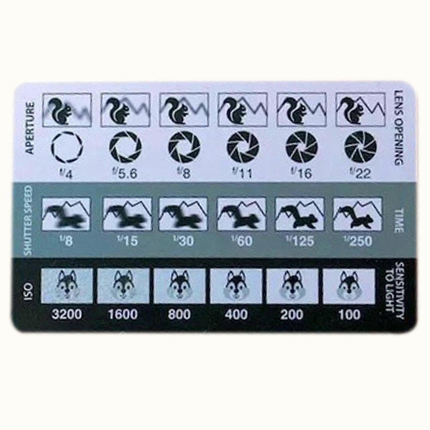 Golden Ratio/Fibonacci View Finder Ruler Card - Essential Composition tool for Artists & Photographe